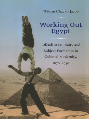 cover image of Working Out Egypt